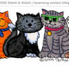 Cats Rule